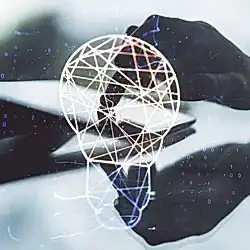 fikri mülkiyet hukuku